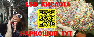 шишки Беслан