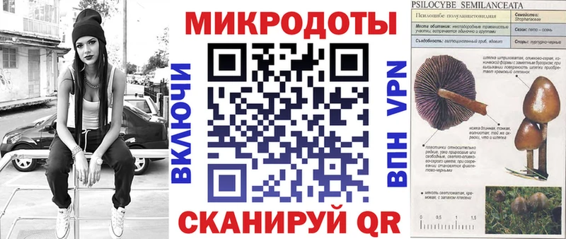 Псилоцибиновые грибы GOLDEN TEACHER  наркотики  Новоалтайск 