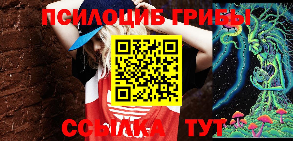 цена наркотик  Галлюциногенные грибы Magic Shrooms  Вход с VPN  Новоалтайск 