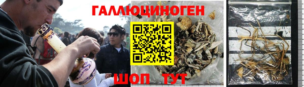 Псилоцибиновые грибы GOLDEN TEACHER Новоалтайск